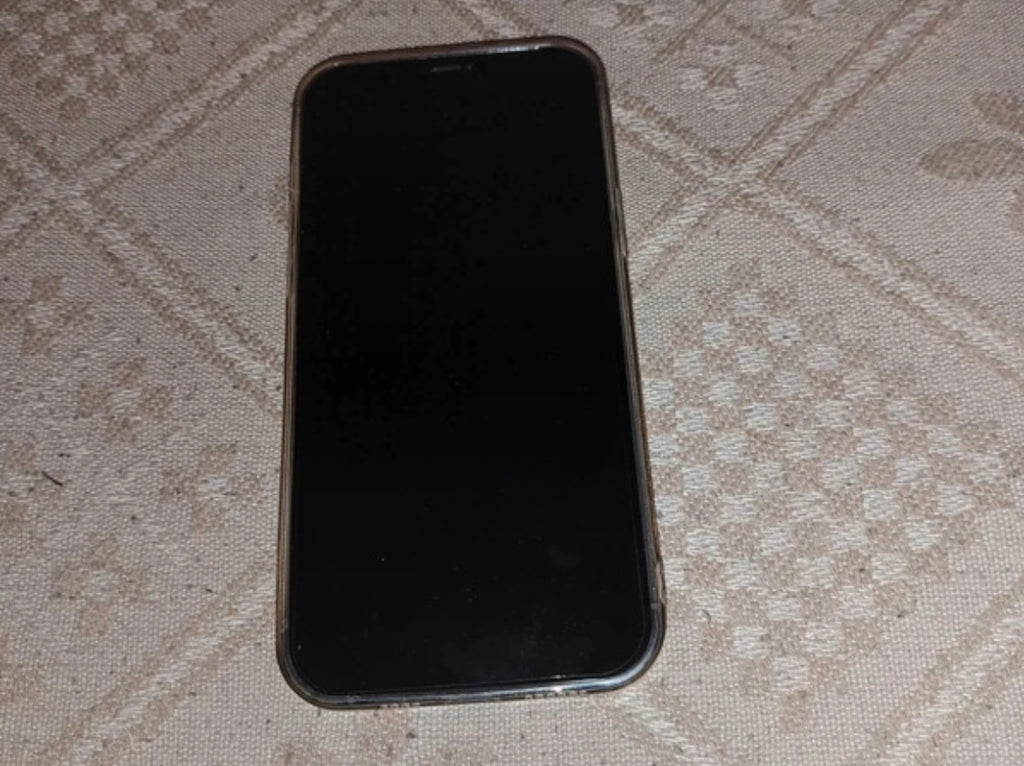 Apple iPhone 12 Pro Max 5G (6GB/128GB) Pacific Blue