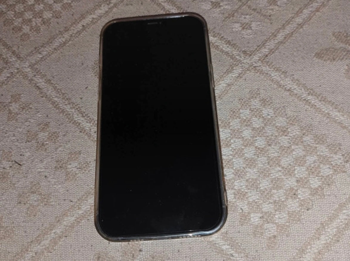 Apple iPhone 12 Pro Max 5G (6GB/128GB) Pacific Blue